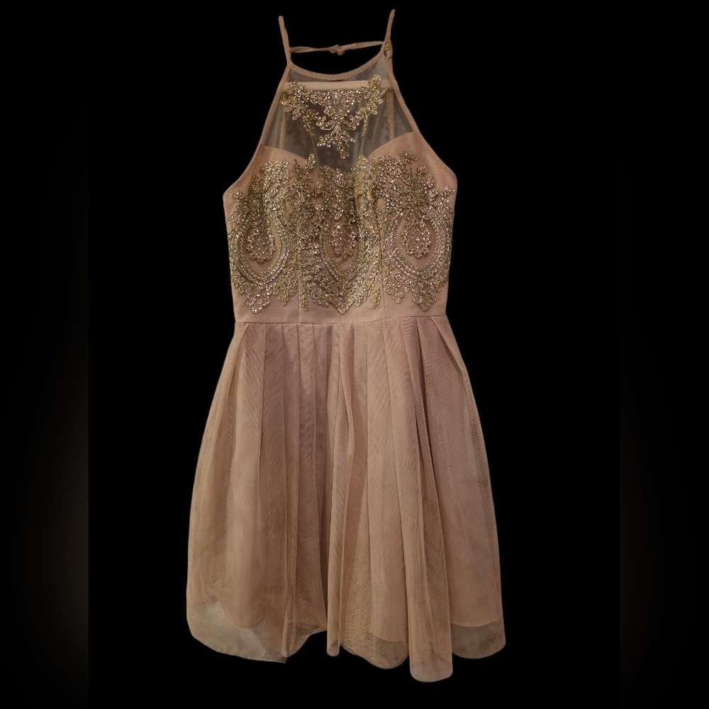 Blush Pink Embellished Mesh Party Dress